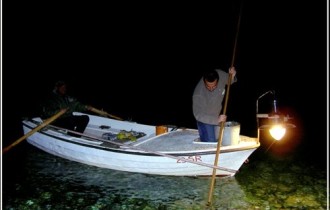 Mljet, Photo: Nikola Hazdovac