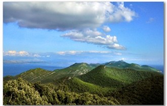 Mljet, Photo: Nikola Hazdovac