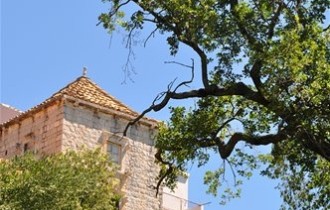 Mljet, Photo: Nikola Hazdovac