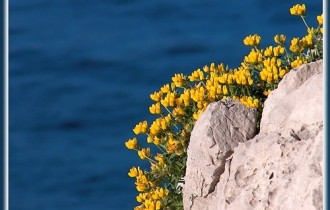 Mljet, Photo: Nikola Hazdovac