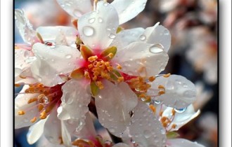 Spring, Photo: Nilkola Hazdovac